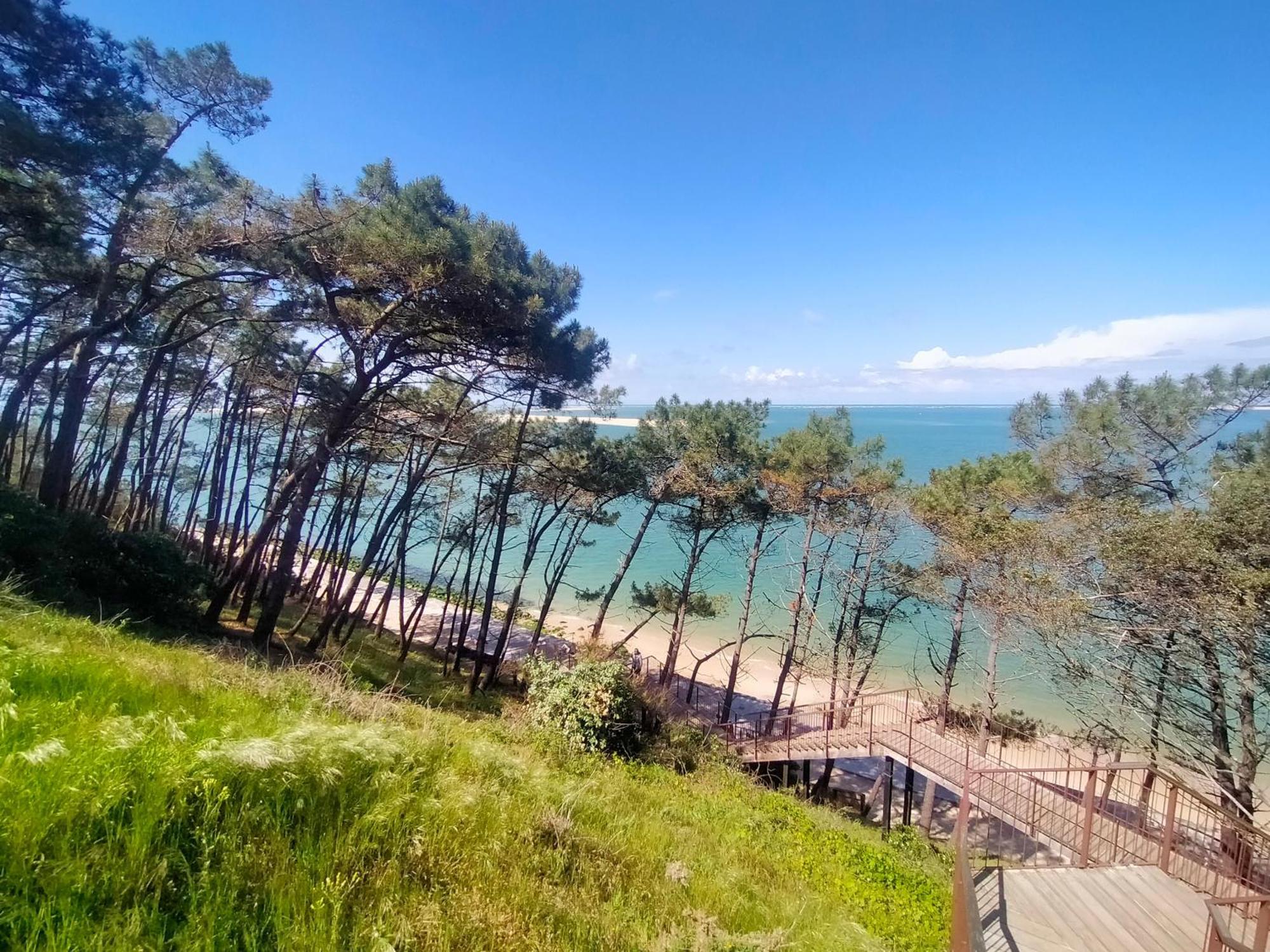 GÎTE LE PADDLE 2 pers 15 min océan 35 min Bordeaux jardin parking wifi Brach Esterno foto